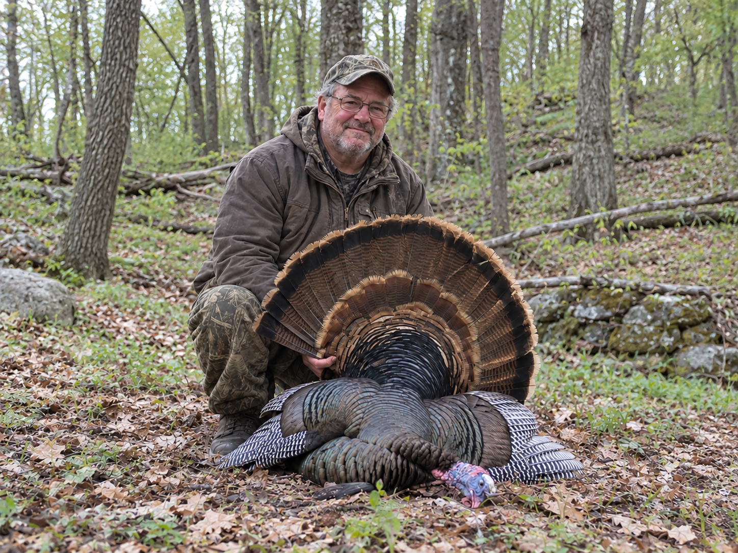 Older hunter kneeling with a harvested wild turkey in spring woodland